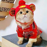 Nón Vải Dễ Thương Cho Chó Mèo - Paddy Pet Shop